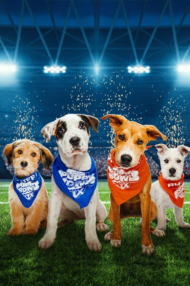 Puppy Bowl Pregame Show