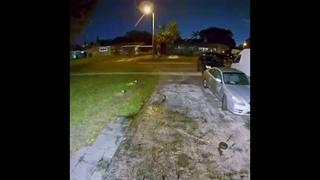 Chanel and Sterling DCXXXVIII Chanel and Sterling DCXXXVIII