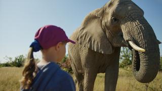 Elephants: A New Landscape Elephants: A New Landscape