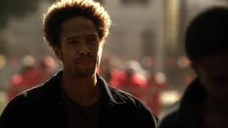 Random Acts of Violence