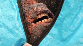 Spark of Life Spark of Life