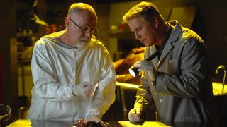 Lab Rats