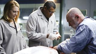 Deep Fried & Minty Fresh