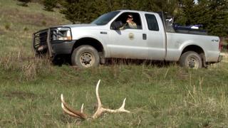 Hunting Season Hustle