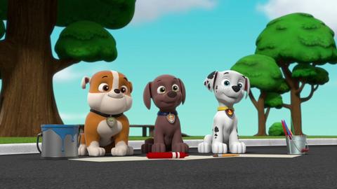 All Paws on Deck