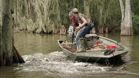 Gators From the Grave