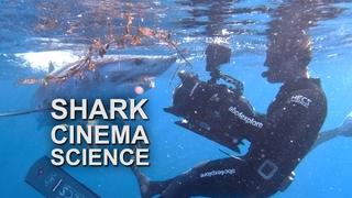 Shark Cinema Science