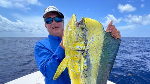 Striped Bass of The Back Bays