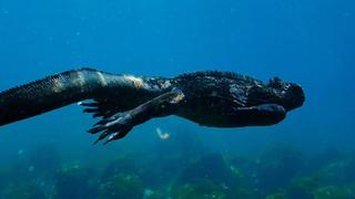 Colors & Patterns Colors & Patterns