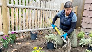 Transition Garden; Granite Post Sign Transition Garden; Granite Post Sign