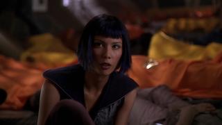 Dance of the Mayflies Dance of the Mayflies