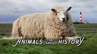 Animals That Changed History