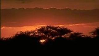Into Africa