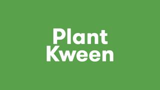 Plant Expert Answers Houseplant Questions From Twitter and More... Plant Expert Answers Houseplant Questions From Twitter and More...