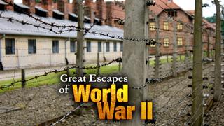 Great Escapes of World War II