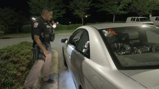 Prostitution Bust Prostitution Bust