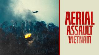 Aerial Assault Vietnam