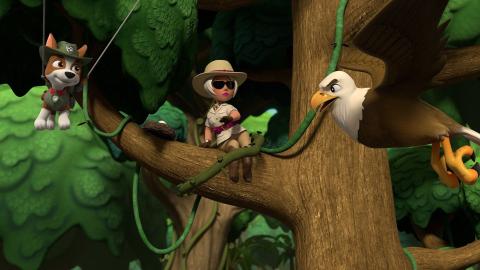 Pups Save a Flamingo Dancer; Pups Save a Mayor and Her Mini