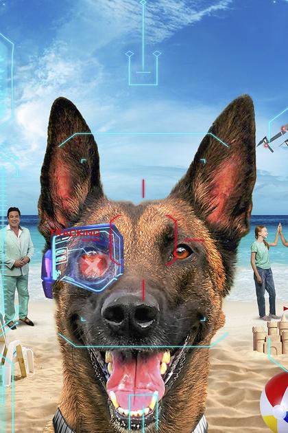 R.A.D.A.R.: The Adventures of the Bionic Dog