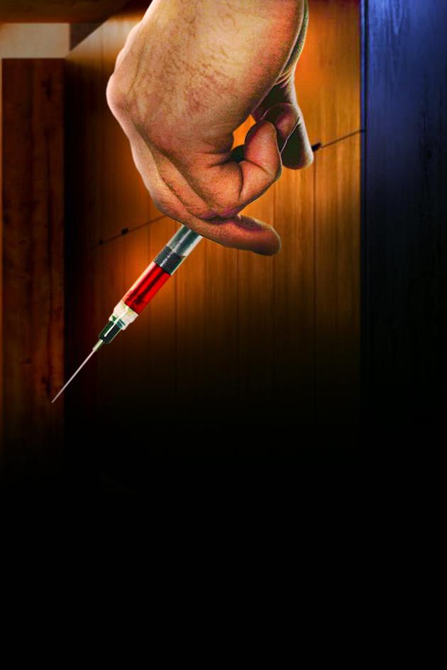 Her Fiancé's Double Life