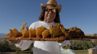 Bee-Ball at the Unity Center Bee-Ball at the Unity Center