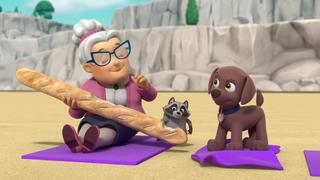 PAW Patrol