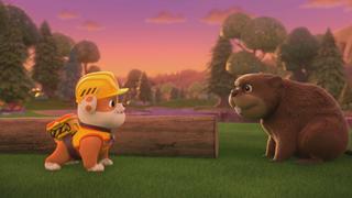 The Crew Builds a Beaver Home; The Crew Fixes a Road The Crew Builds a Beaver Home; The Crew Fixes a Road