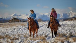 Andalusians Andalusians