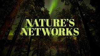 Nature's Networks