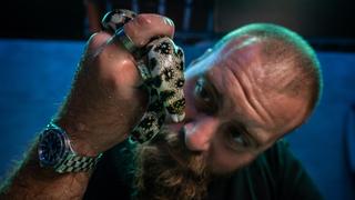 Moray Eel and Barracuda Moray Eel and Barracuda