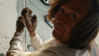 Island of the Killer Bees Island of the Killer Bees