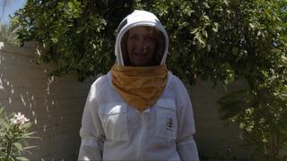 Bees in the Hot Tile Roof Bees in the Hot Tile Roof