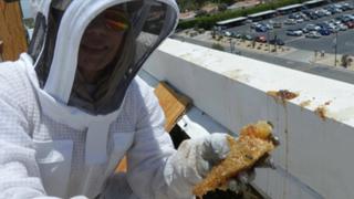 Emergency Room Bee-ware