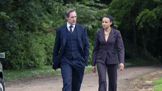 Death of an Expert Witness: Part 2