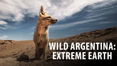 Wild Argentina: Extreme Earth