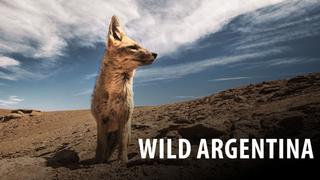 Wild Argentina