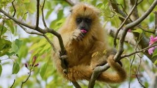 Land of Water Land of Water