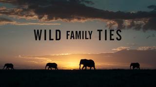 Wild Family Ties