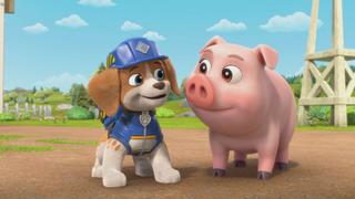 The Crew Builds a Pig Barn; The Crew Builds a Giant Runway The Crew Builds a Pig Barn; The Crew Builds a Giant Runway