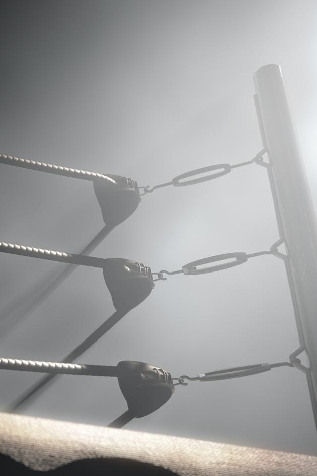 Fight Lives In Their Corner: Partners of Fighters