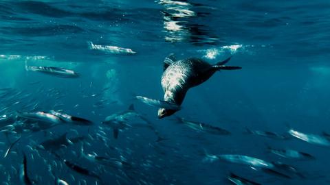 The Unconventional Nation