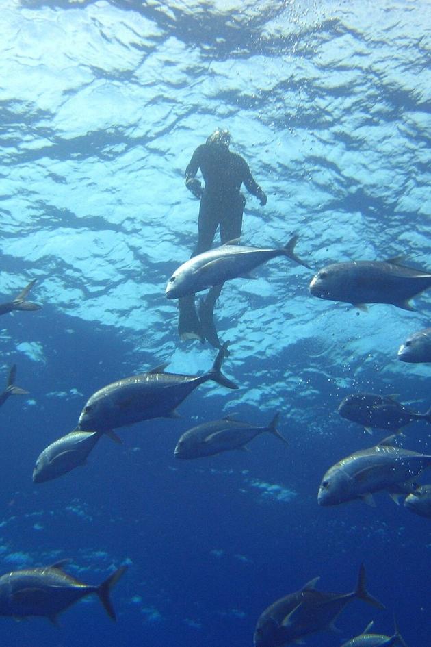 Shadows in a Desert Sea