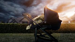 The Pregnancy Scheme