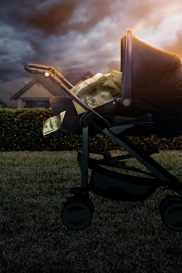 The Pregnancy Scheme