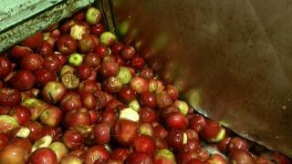 Steel; Apple Juice; Aircraft Landing Gear; Cosmetics; Etc. Steel; Apple Juice; Aircraft Landing Gear; Cosmetics; Etc.