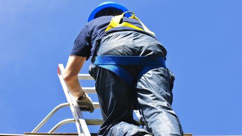 Halogen Bulbs; Insulation; Ladders; Bamboo Fly Rods
