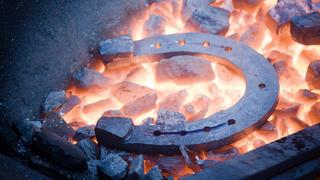 Horseshoes; Dishwashers; Graphite Fly Rods; Pizzas