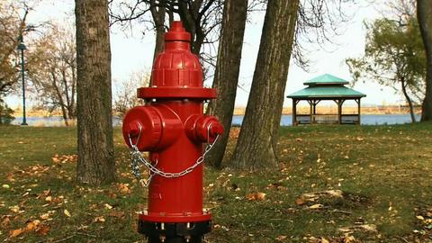 Fire Hydrants; Cathode Ray Tubes