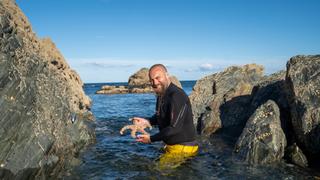 Octopus Escapees and Blue Whale
