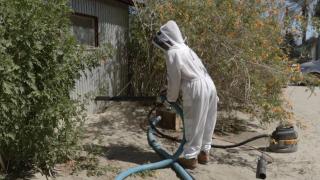 Showdown at Killer Bee Ranch PT 1